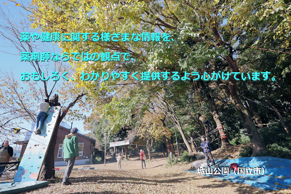 城山公園(国立市) 城山公園(国立市)
